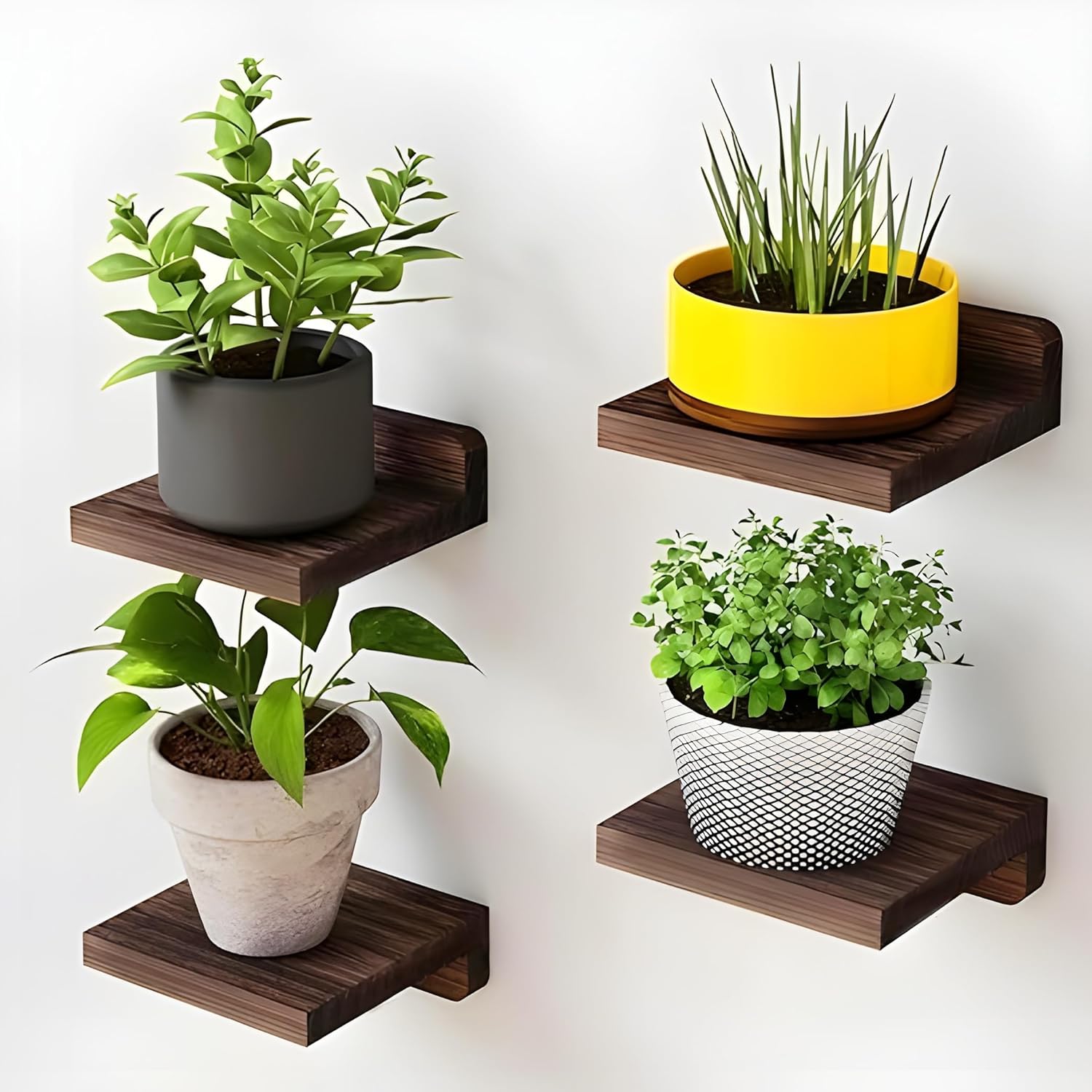 shelves